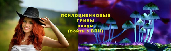круглые Алексеевка