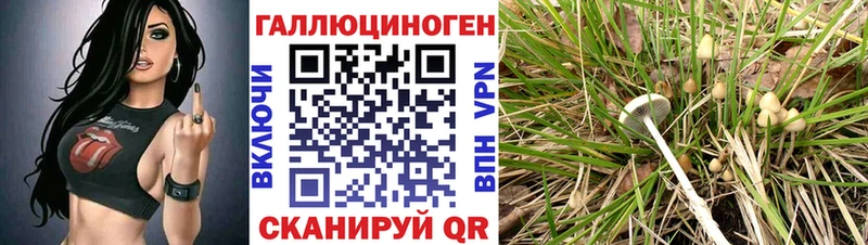 Псилоцибиновые грибы Cubensis  Липки 